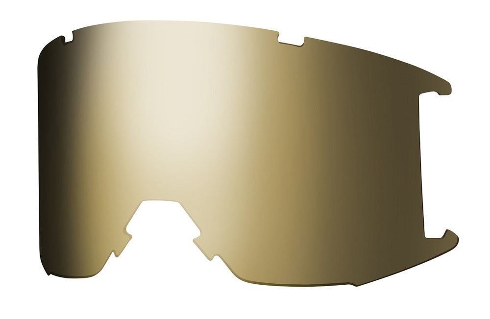 Goggle Lens - Squad