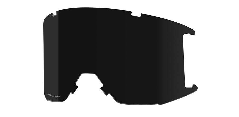 Goggle Lens - Squad