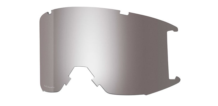 Goggle Lens - Squad