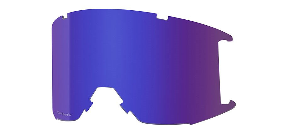 Goggle Lens - Squad