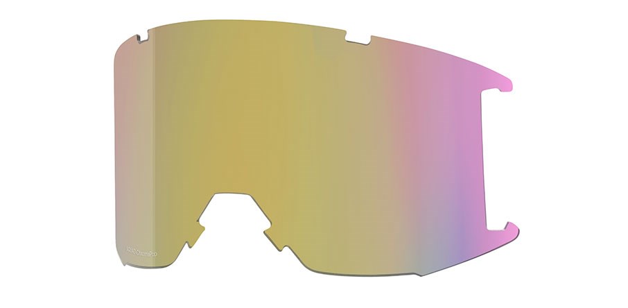 Goggle Lens - Squad