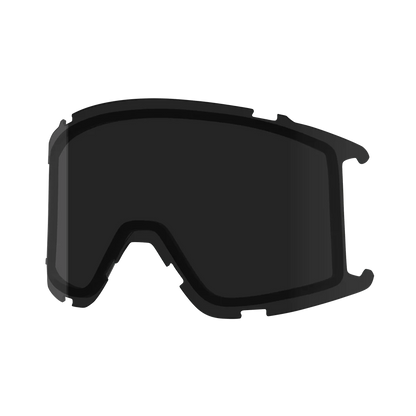 Goggle Lens - Squad S