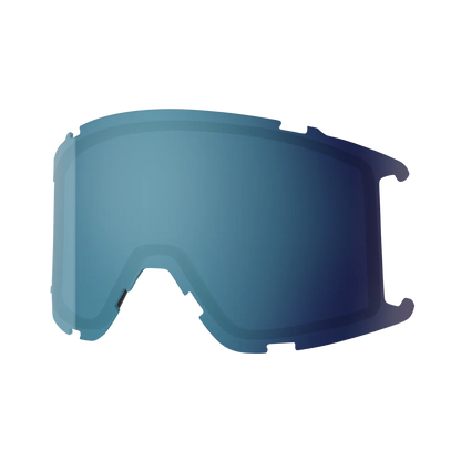 Goggle Lens - Squad S
