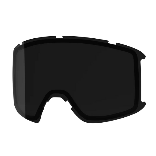 Goggle Lens - Preview