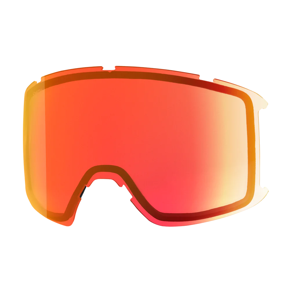 Goggle Lens - Preview