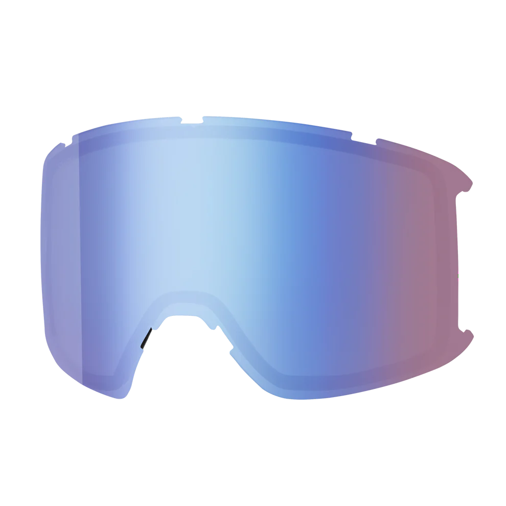 Goggle Lens - Preview