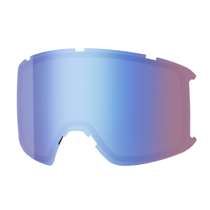 Goggle Lens - Preview