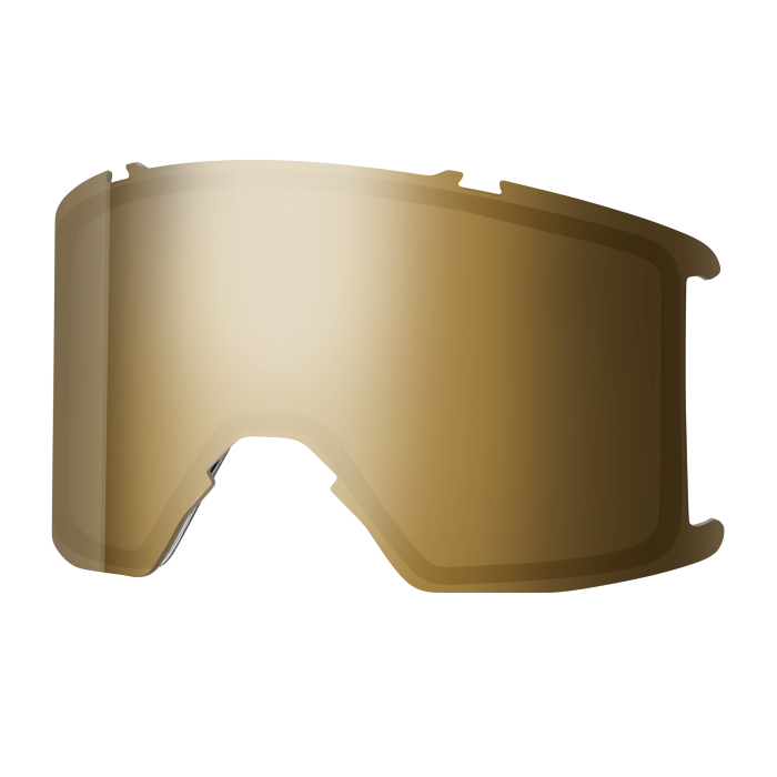 Goggle Lens - Stash XL