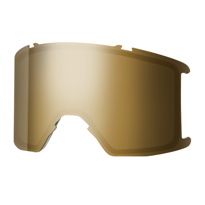 Goggle Lens - Stash XL