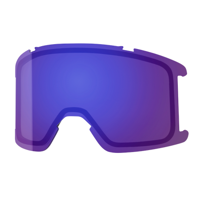 Goggle Lens - Squad
