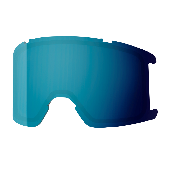 Goggle Lens - Squad