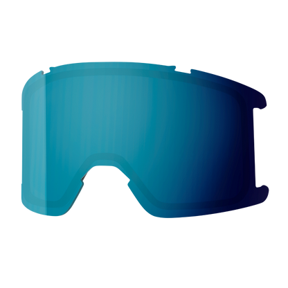 Goggle Lens - Squad