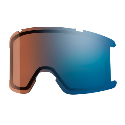 Goggle Lens - Squad