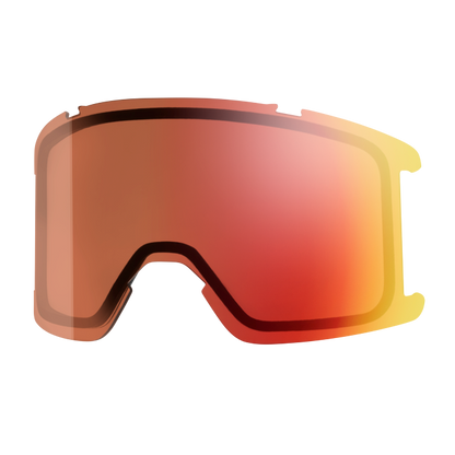 Goggle Lens - Squad