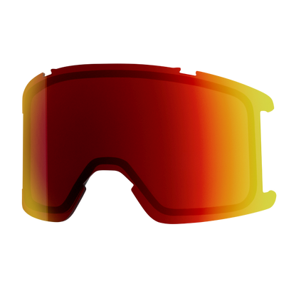 Goggle Lens - Squad
