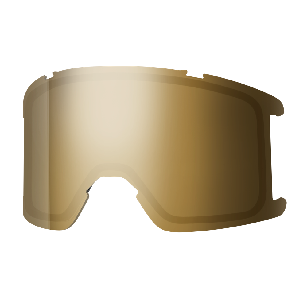 Goggle Lens - Squad